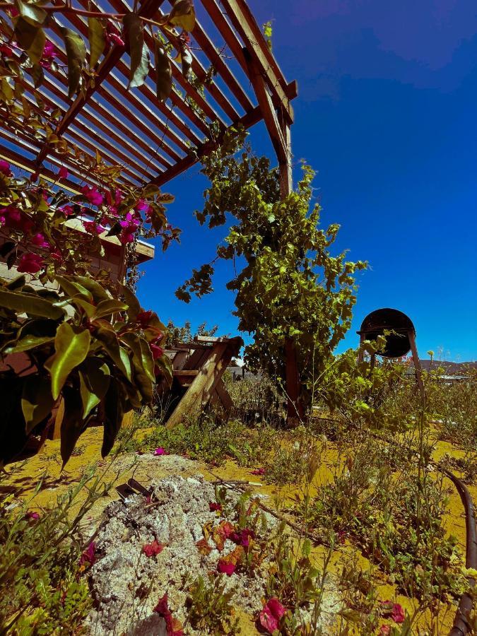 Cabaña San Tony Villa de Juarez Exterior foto